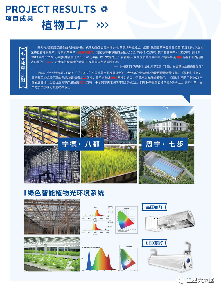 P15-P16.jpg