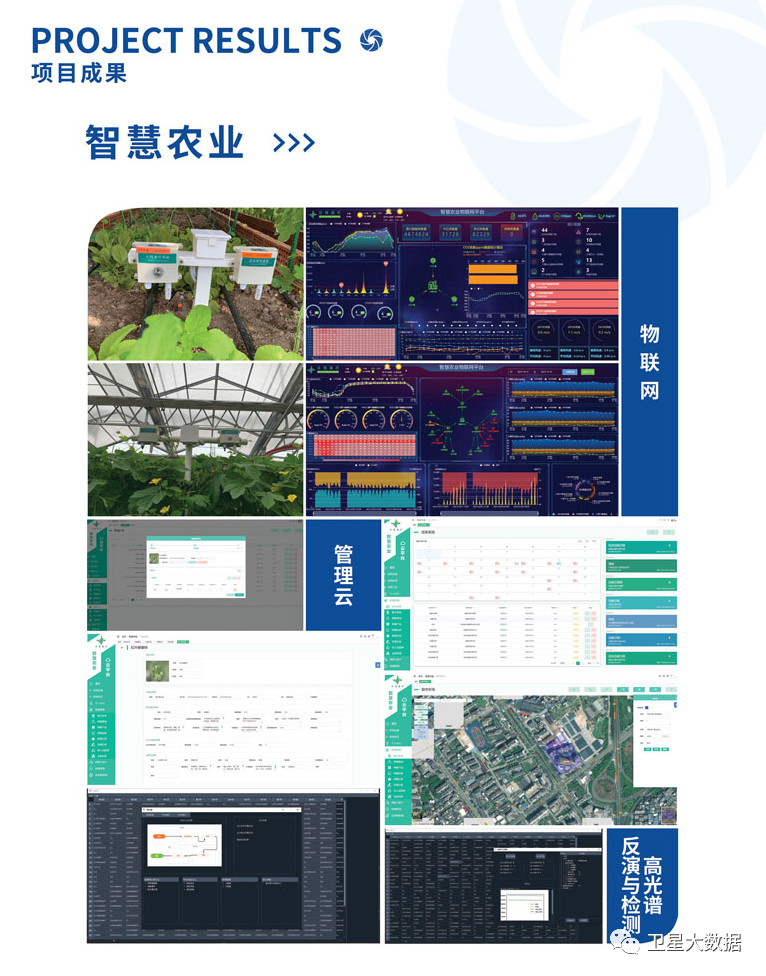P13-P14--.jpg