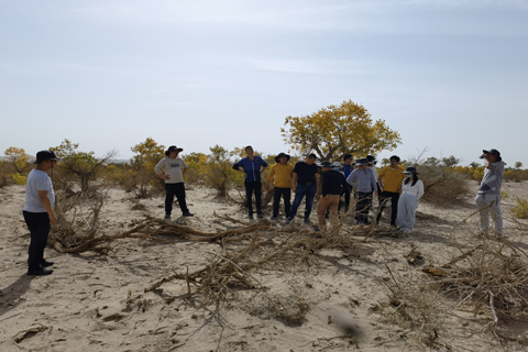 Bodog·(中国区)官方网站