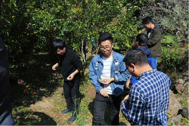 Bodog·(中国区)官方网站